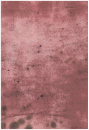 Tim Holtz, Provions